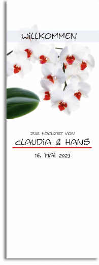 Orchidee