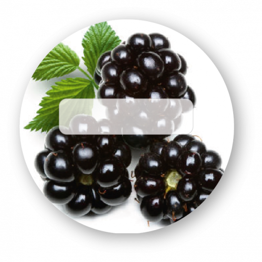 Brombeeren