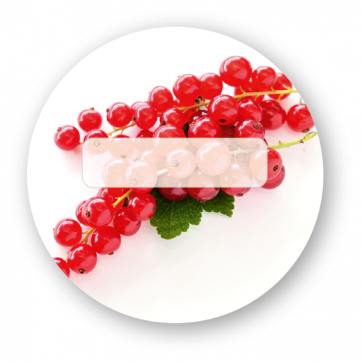 Rote Johannisbeeren