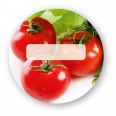 Tomaten